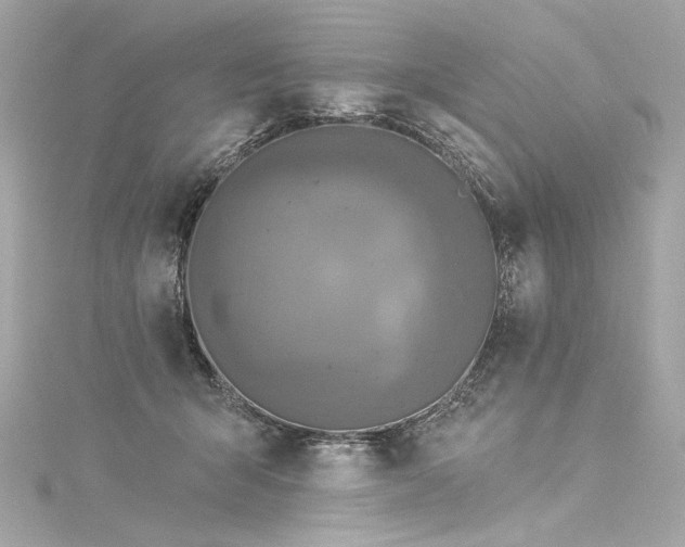 X0000116030415200911201259