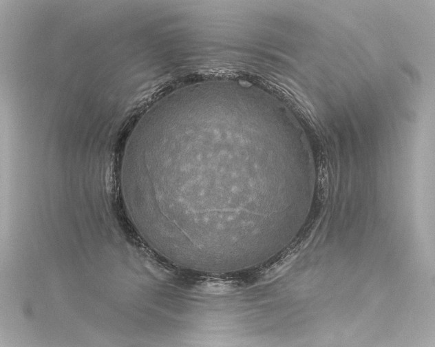 X0000116030416200911201259