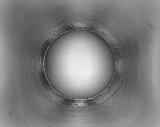 X0000116030418200911201259