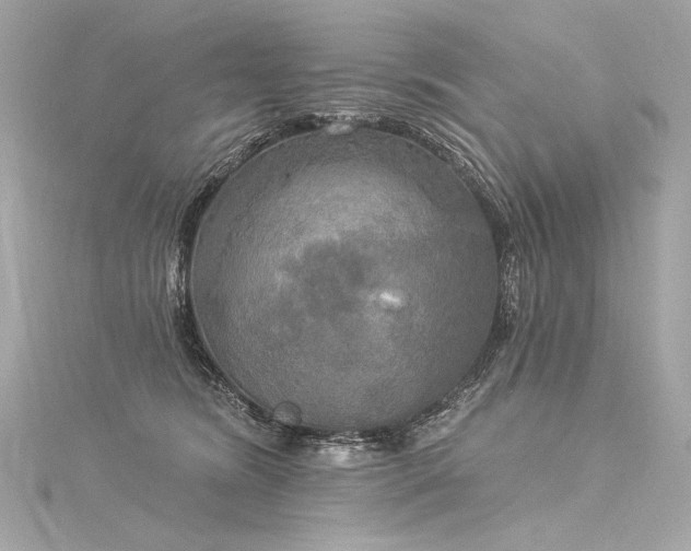 X0000116030420200911201259