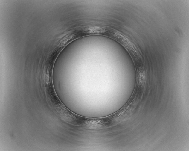 X0000116030422200911201259
