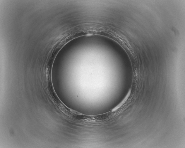 X0000116030423200911201259
