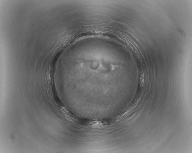 X0000116030424200911201259
