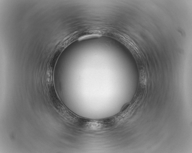 X0000116030425200911201259