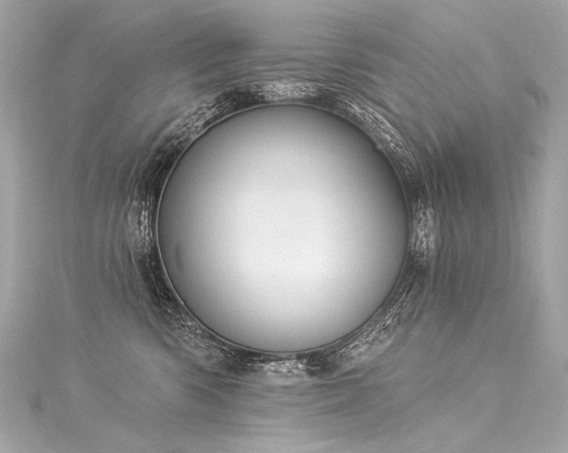 X0000116030426200911201259