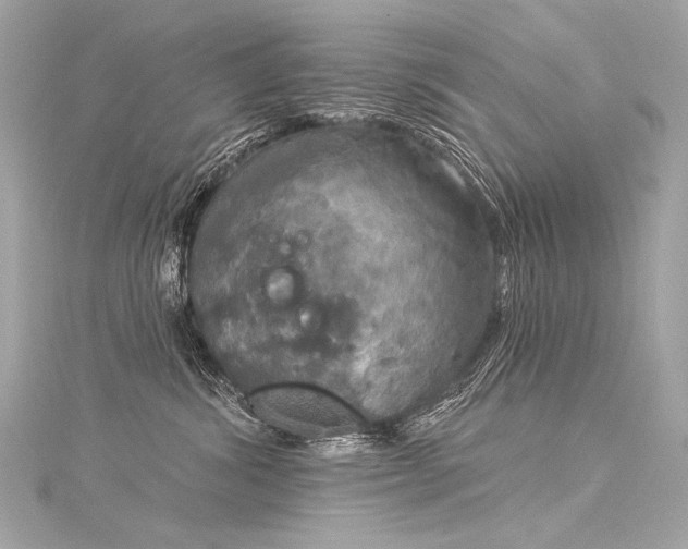 X0000116030428200911201259