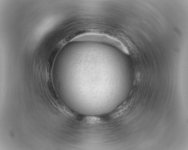 X0000116030429200911201259