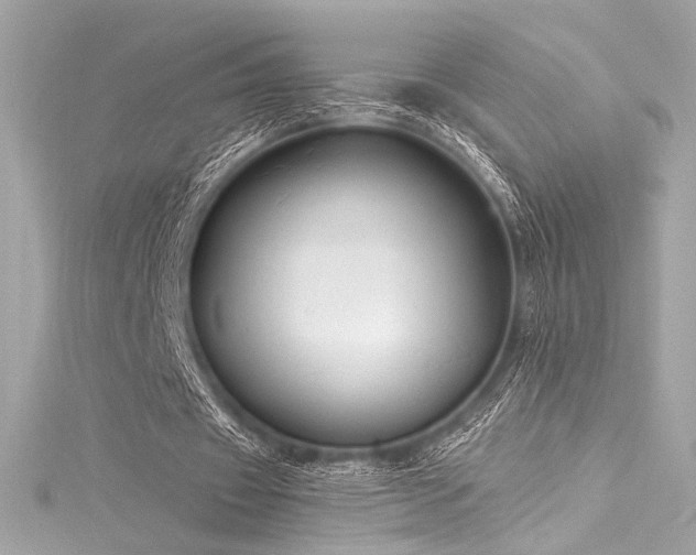 X0000116030433200911201258