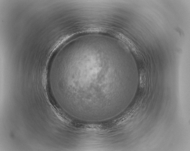 X0000116030436200911201258