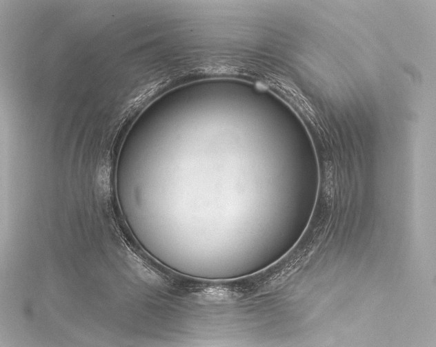X0000116030441200911201258