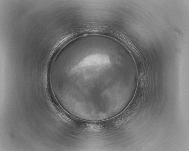 X0000116030442200911201258