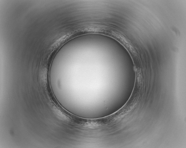 X0000116030445200911201258
