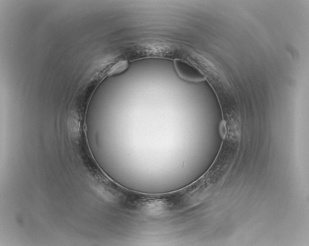 X0000116030456200911201258