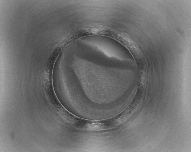 X0000116030461200911201258