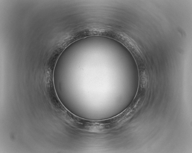 X0000116030463200911201258