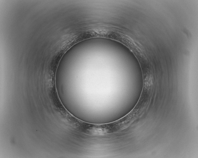 X0000116030464200911201258