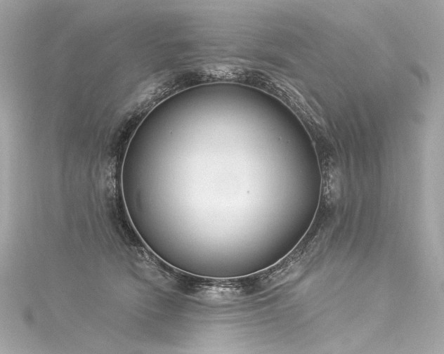 X0000116030466200911201258
