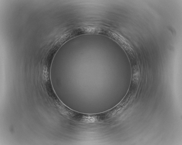 X0000116030469200911201259