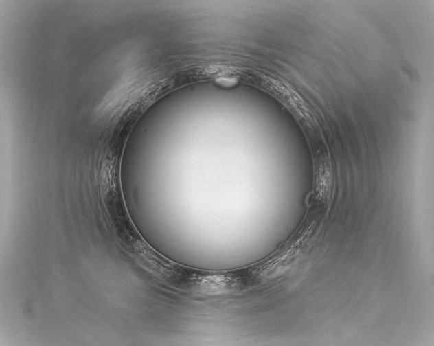 X0000116030473200911201259