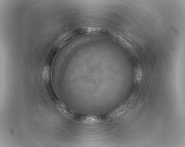 X0000116030475200911201259