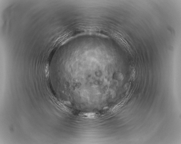 X0000116030478200911201259