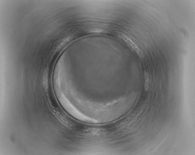 X0000116030482200911201258