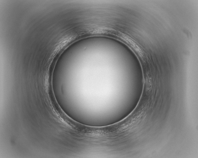 X0000116030485200911201258