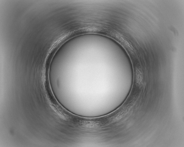 X0000116030486200911201258