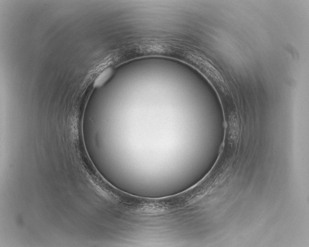 X0000116030489200911201258
