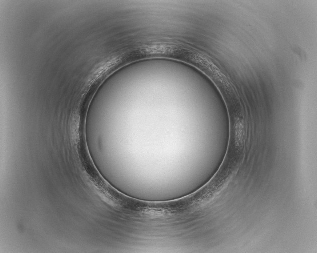X0000116030490200911201258