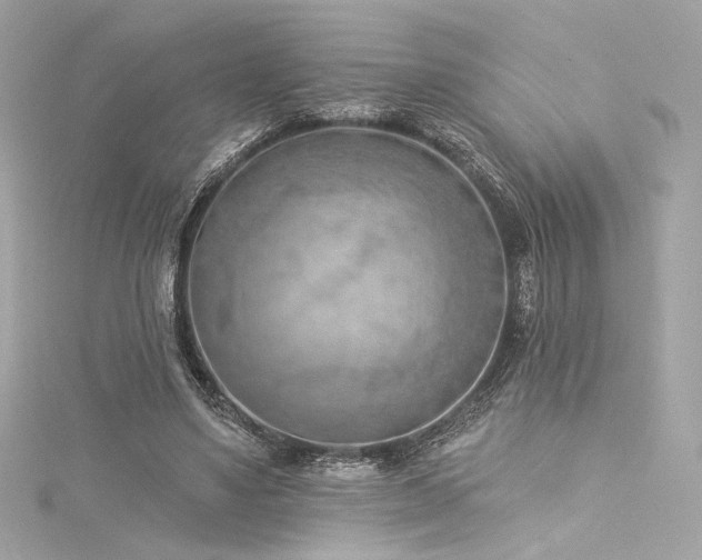 X0000116030491200911201258