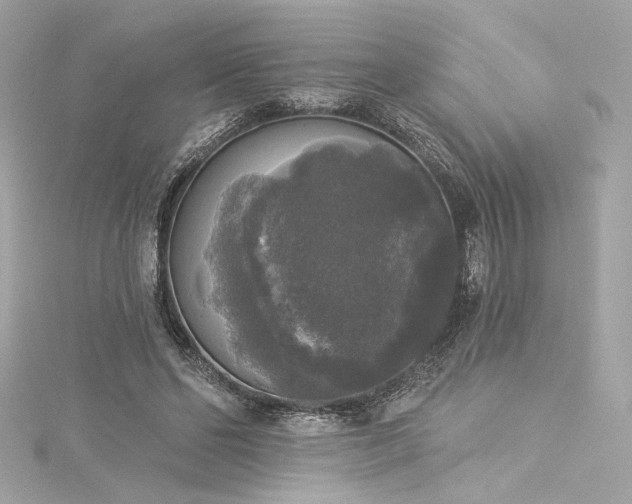 X0000116030494200911201258