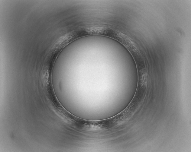 X0000116030498200911201258