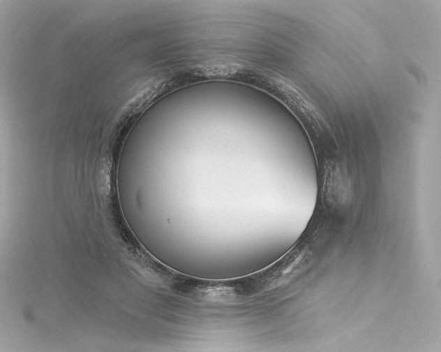 X0000116030501200911201258