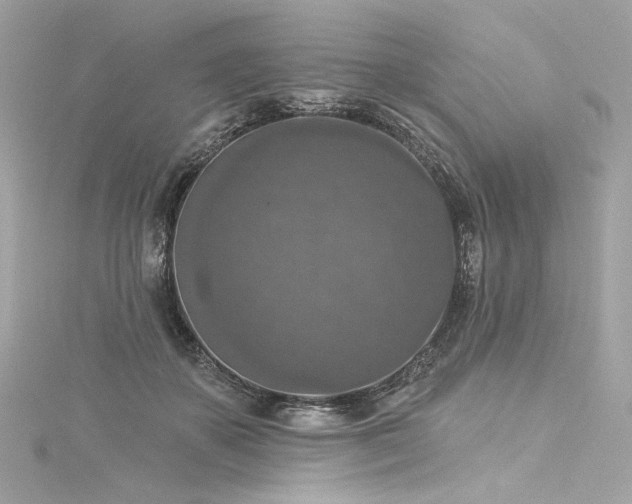 X0000116030507200911201258