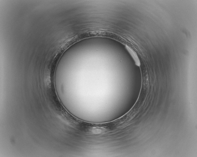 X0000116030508200911201258