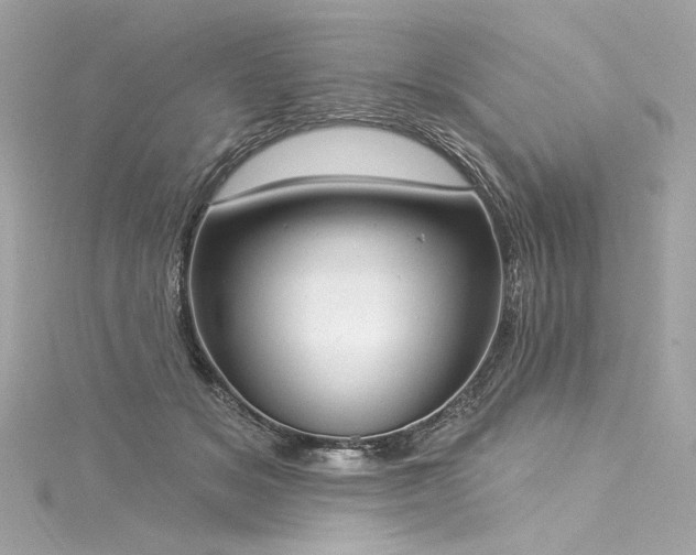 X0000116030509200911201258
