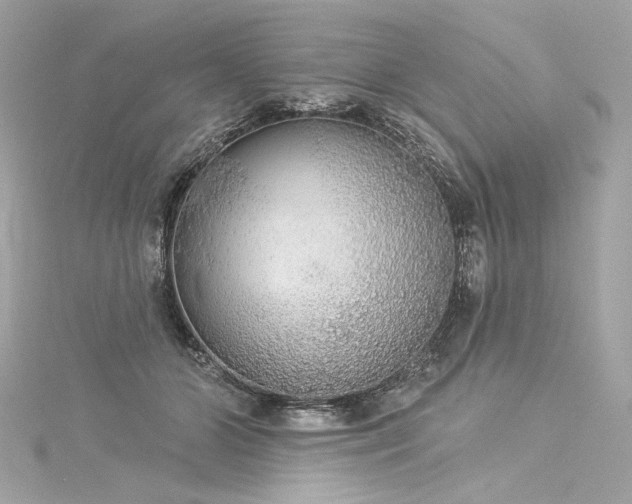 X0000116030510200911201258