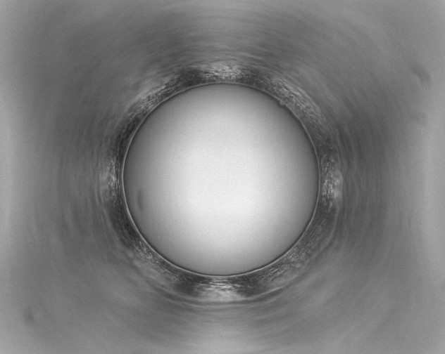 X0000116030518200911201258