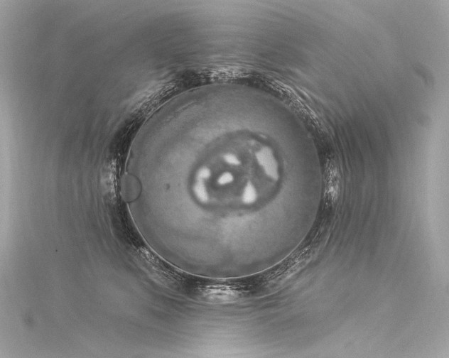 X0000116030519200911201258