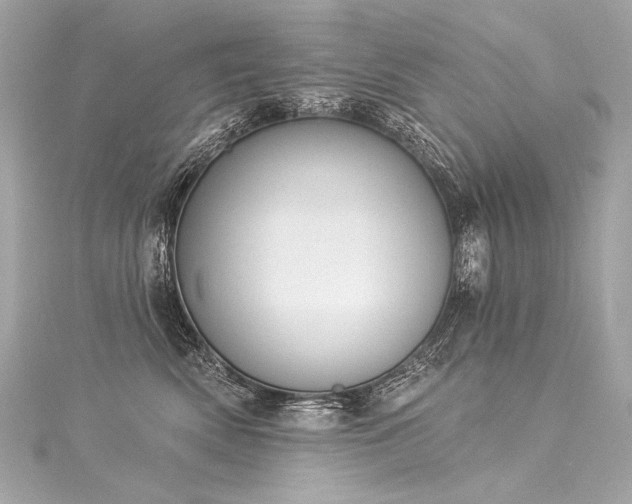 X0000116030522200911201258