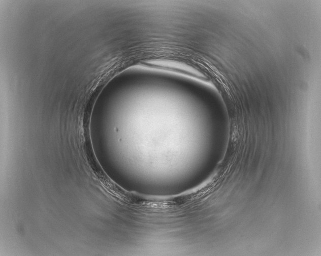 X0000116030524200911201257
