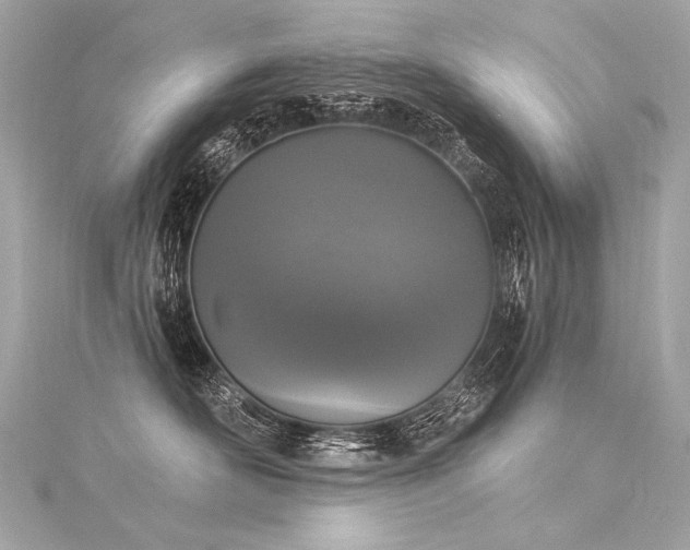 X0000116030526200911201257