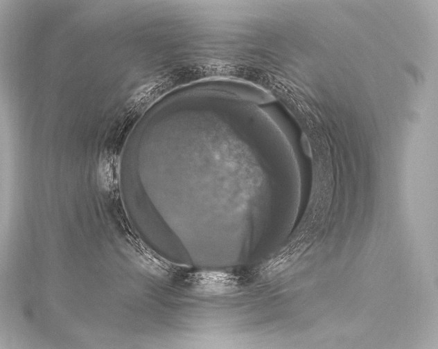 X0000116030528200911201257