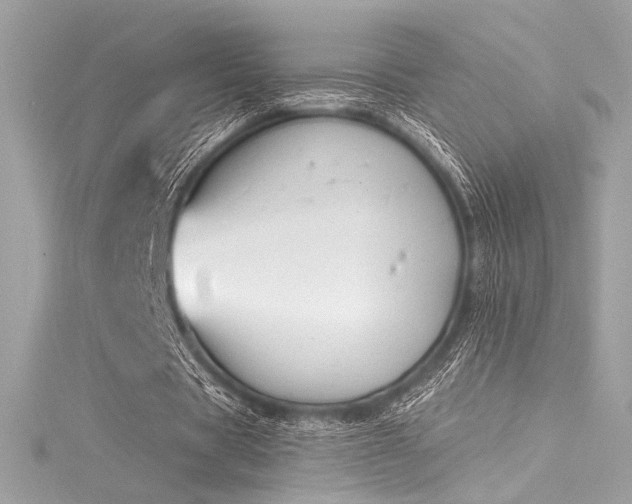 X0000116030529200911201257
