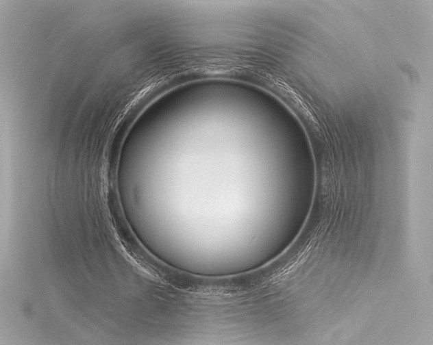 X0000116030530200911201257