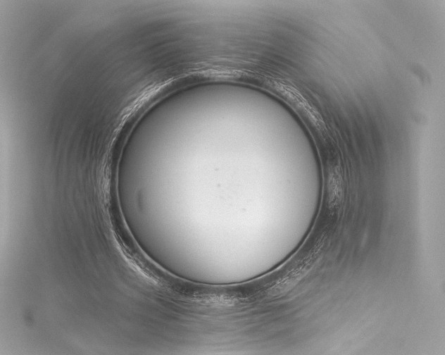 X0000116030533200911201257