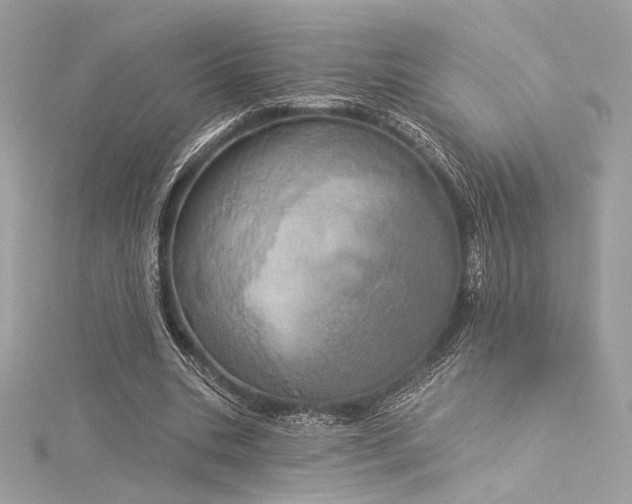 X0000116030535200911201257