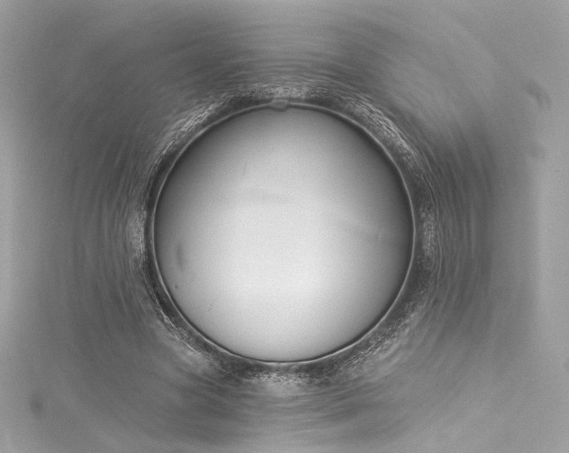X0000116030537200911201257