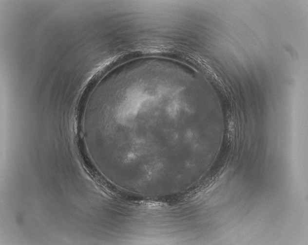 X0000116030539200911201257